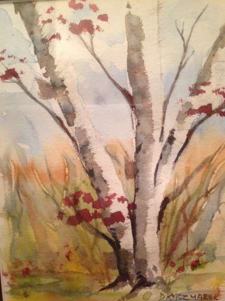 Fall White Birches