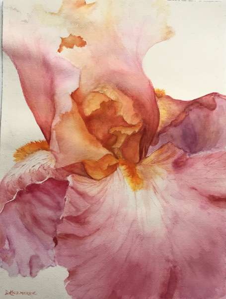 Iris in Rose and Gold